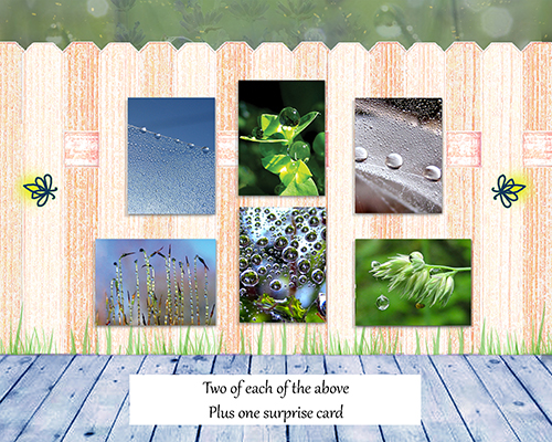 Meditation - Greeting Card Collection by The Poetry of Nature - front and back of box